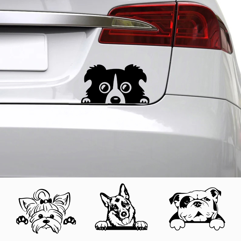 Laptop Accessories Price - Autos Zubehör Aufkleber Lustiger Hund mit